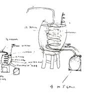 Sightings - Absolutes