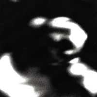 TAXIDERMIA - OUTRO VOLUME
