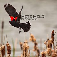 Pete Held - Epoch Sane