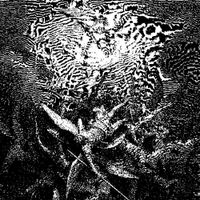 Oxhy - Rights of Spring