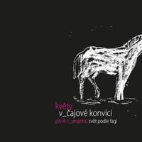 Květy - V čajov&eacute; konvici