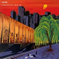 Calm. - Conversations with a Willow Tree