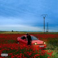 Diego 900 - Gas Platino