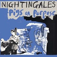 Nightingales - Pigs on Purpose