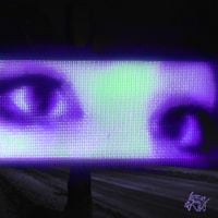 my!lane - Sakura's Shadows