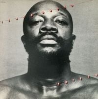 Isaac Hayes - Hotbed