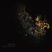Neptune - Silent Partner