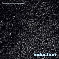 Beins, Butcher & Dafeldecker - induction