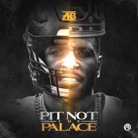 AB - Pit Not the Palace