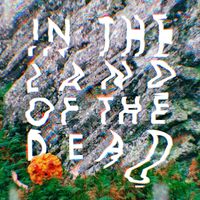 Pictish Trail - In The Land Of The Dead