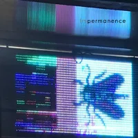 Impermanence - Somewhere I Hear the Voice I Thought I Killed