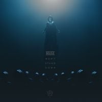 Muse - Won't Stand Down