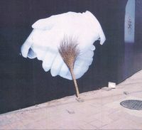 Sontag Shogun - Flutter & Scrape