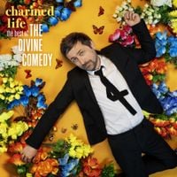 The Divine Comedy - Charmed Life - The Best of The Divine Comedy