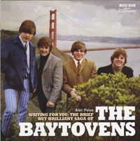 The Baytovens - The Brief but Brillant Saga by the baytovens