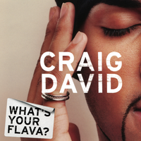 Craig David - What's Your Flava?