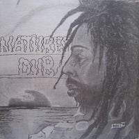 Bullwackies All Stars - Natures Dub