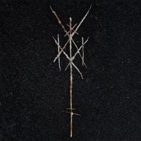 Wiegedood - There's Always Blood at the End of the Road