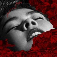 Mitski - Love Me More