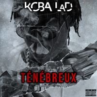 Koba LaD - T&eacute;n&eacute;breux