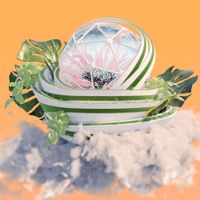 Tomato Flower - Gold Arc