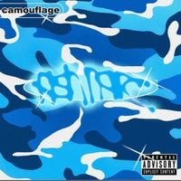 fish narc - Camouflage