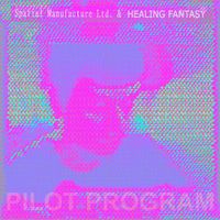 Healing Fantasy - pilot program