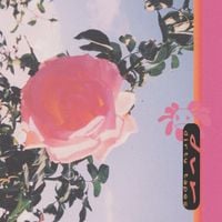 not dvr - dirty tapes EP