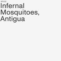 Infernal Mosquitoes - Antigua
