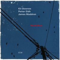 Kit Downes, Petter Eldh, James Maddren - Vermillion