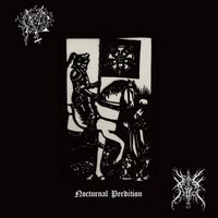 Dark Fog Eruption - Nocturnal Perdition