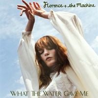 Florence + the Machine - What the Water Gave Me