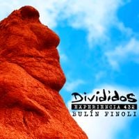 Divididos - Experiencia 432 (Bul&iacute;n Finoli)