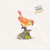 Brunori Sas - Cheap!