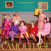 Ditonellapiaga - Camouflage