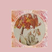 Ni&ntilde;os Del Cerro - Flores, Labios, Dedos