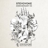 Various Artists - Steyoyoke Anniversary, Vol. 5