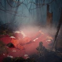 The Kernal - Listen to the Blood