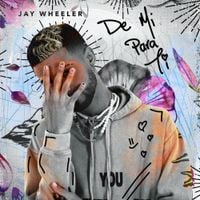 Jay Wheeler - De M&iacute; Para T&iacute;
