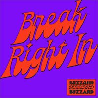 Buzzard Buzzard Buzzard - Break Right In