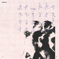 Hippo Campus - Ride or Die