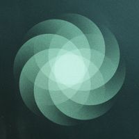 SOM - The Shape of Everything