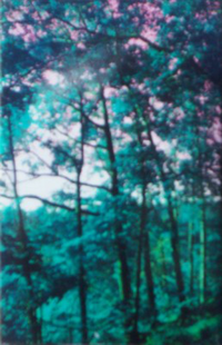 Mark McGuire - Light Movement