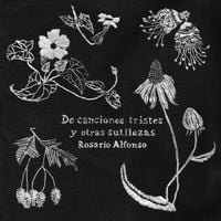 Rosario Alfonso - De canciones tristes y otras sutilezas