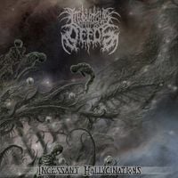 Iniquitous Deeds - Incessant Hallucinations