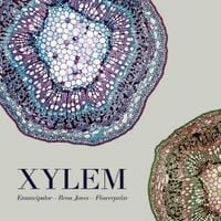 Emancipator, Rena Jones & Flowerpulse - Xylem