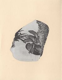 Bob Desaulniers - Plume