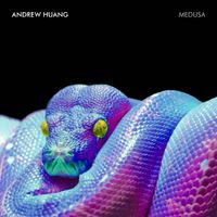 Andrew Huang - Medusa