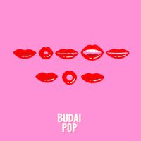 Ivan & The Parazol - Budai Pop