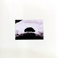 Incipientium - Belastning